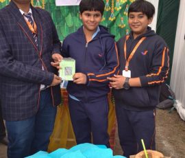 CARNIVAL -Seth M.R. Jaipuria School Hardoi